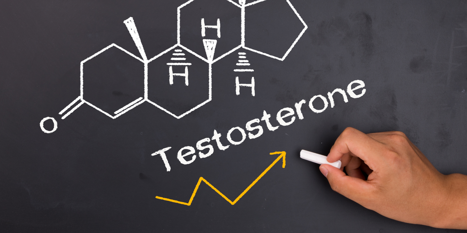 Ultimate testosterone guide