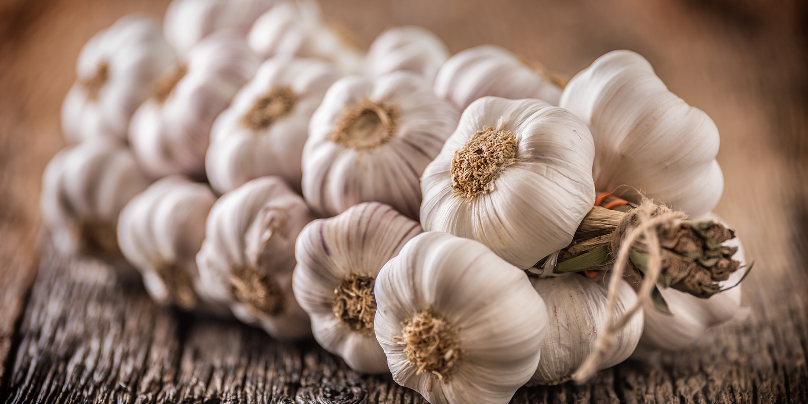 Garlic extract: how it impacts testosterone levels